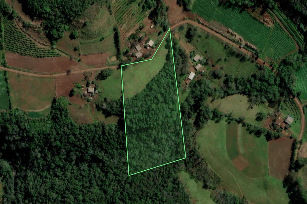 Imagem de satélite do imóvel rural em Alpestre (RS), com o contorno declarado no CAR desenhado por cima.