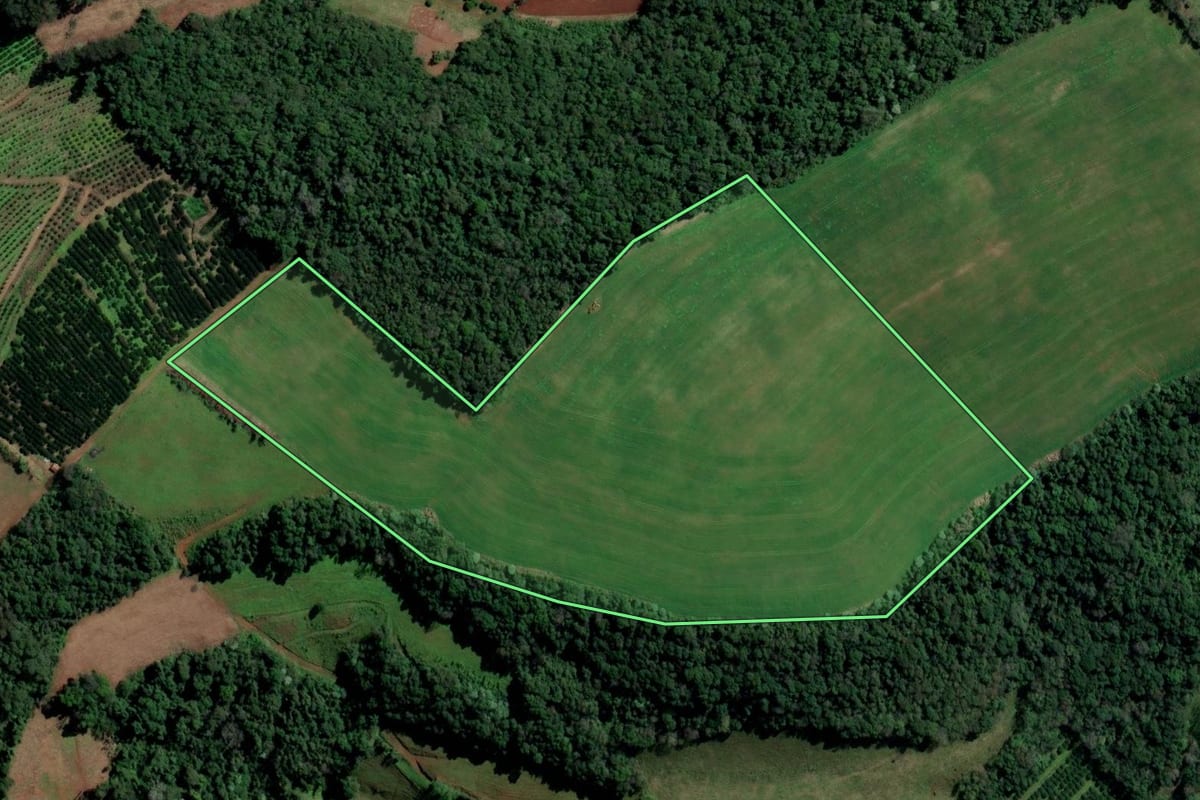 Imagem de satélite do imóvel rural em Alpestre (RS), com o contorno declarado no CAR desenhado por cima.