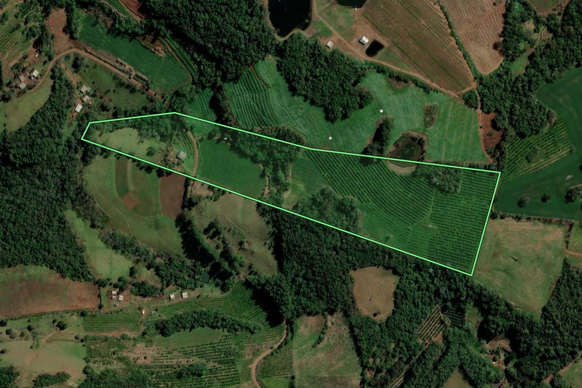 Imagem de satélite do imóvel rural em Alpestre (RS), com o contorno declarado no CAR desenhado por cima.
