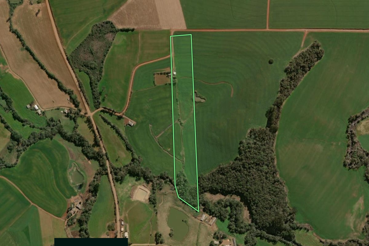 Imagem de satélite do imóvel rural em Alto Alegre (RS), com o contorno declarado no CAR desenhado por cima.