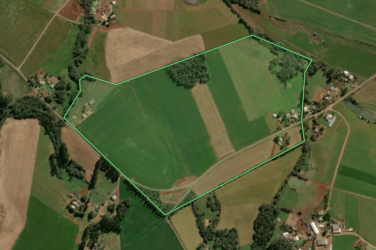 Imagem de satélite do imóvel rural em Alto Alegre (RS), com o contorno declarado no CAR desenhado por cima.