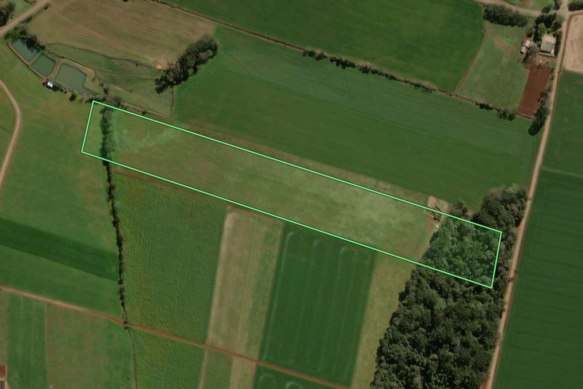 Imagem de satélite do imóvel rural em Alto Alegre (RS), com o contorno declarado no CAR desenhado por cima.