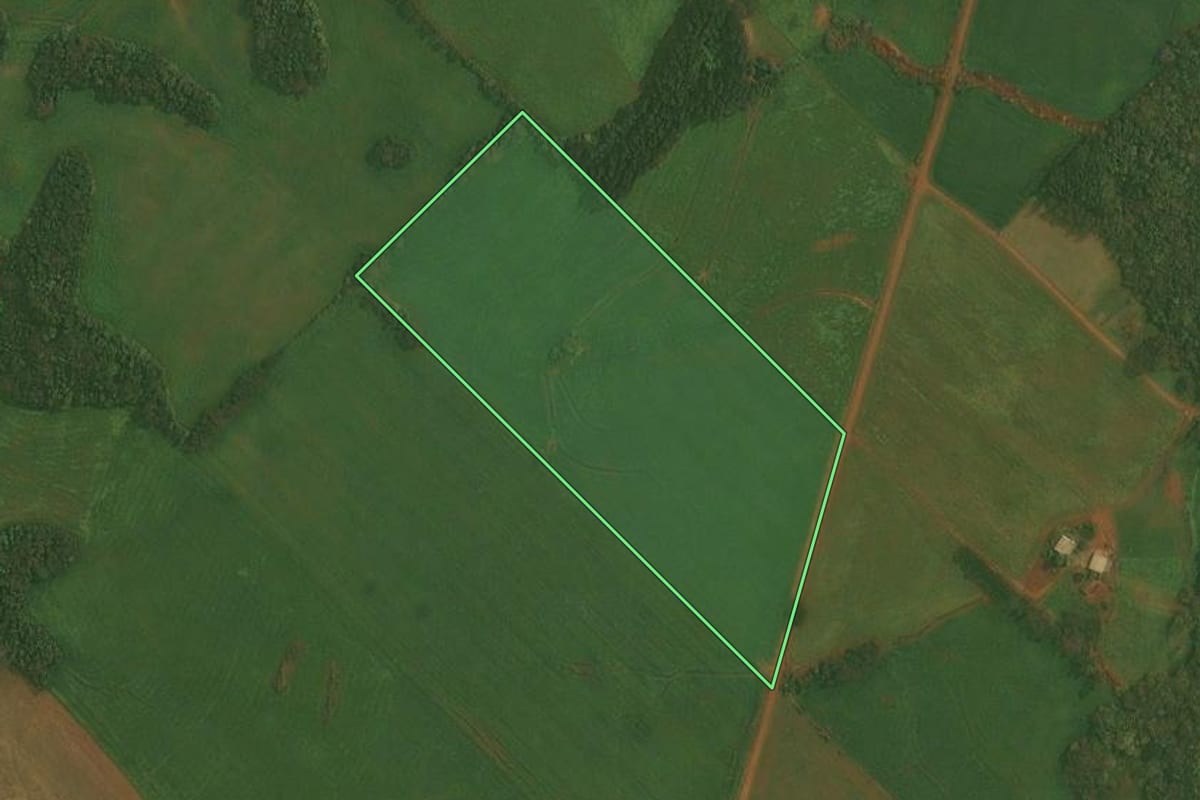 Imagem de satélite do imóvel rural em Alto Alegre (RS), com o contorno declarado no CAR desenhado por cima.