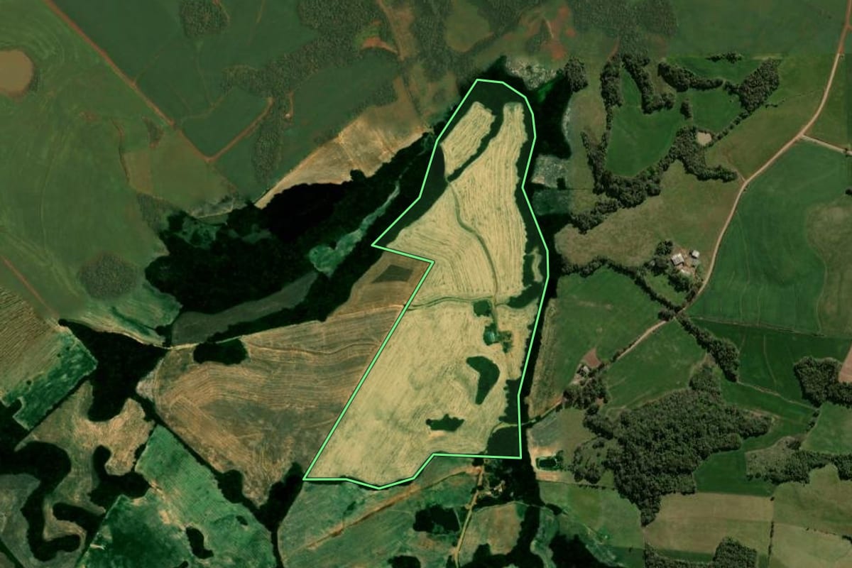 Imagem de satélite do imóvel rural em Alto Alegre (RS), com o contorno declarado no CAR desenhado por cima.
