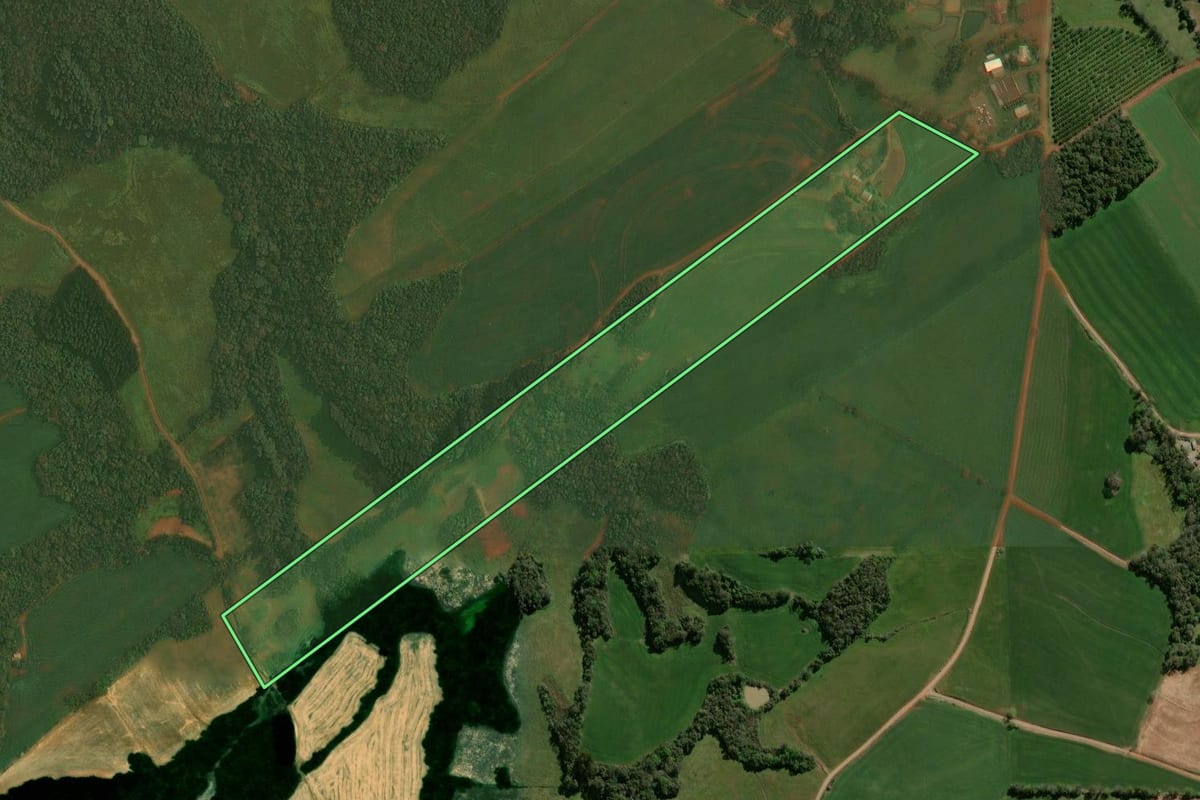 Imagem de satélite do imóvel rural em Alto Alegre (RS), com o contorno declarado no CAR desenhado por cima.