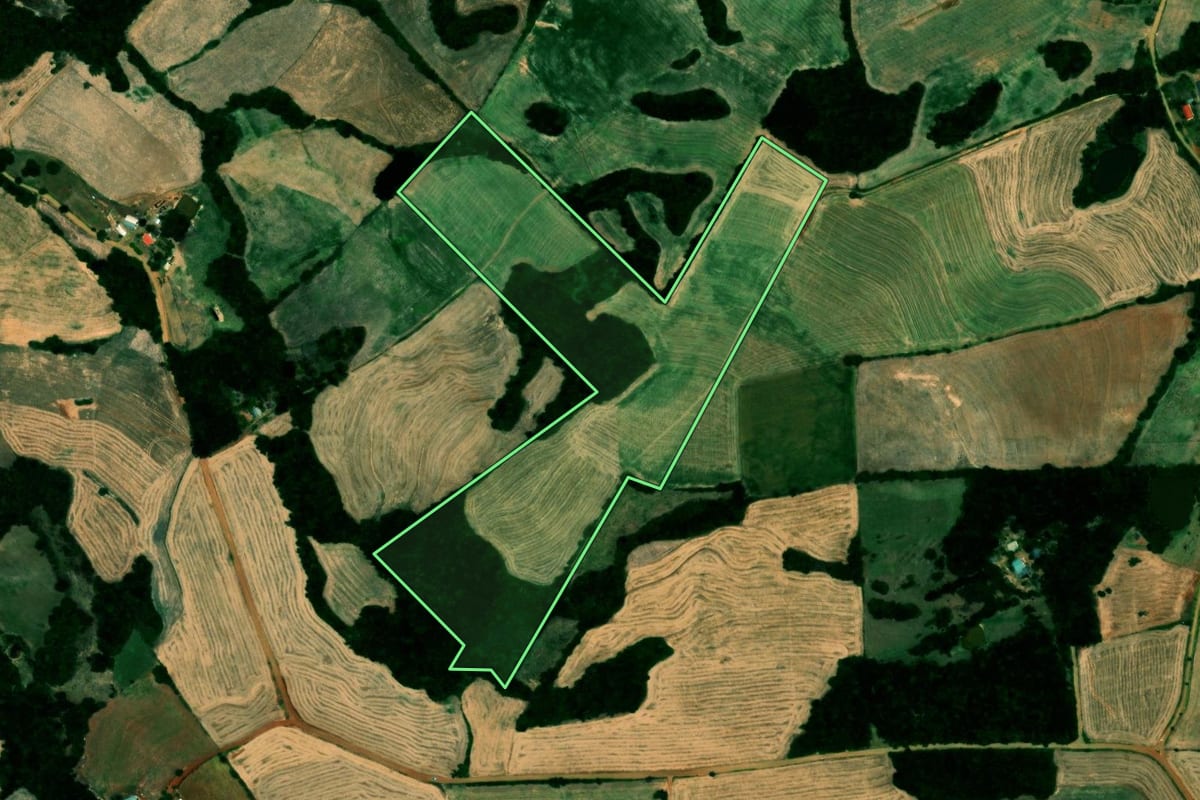 Imagem de satélite do imóvel rural em Alto Alegre (RS), com o contorno declarado no CAR desenhado por cima.