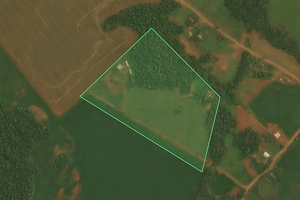 Imagem de satélite do imóvel rural em Alto Alegre (RS), com o contorno declarado no CAR desenhado por cima.