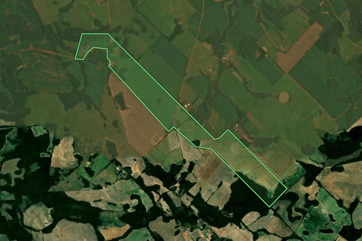 Imagem de satélite do imóvel rural em Alto Alegre (RS), com o contorno declarado no CAR desenhado por cima.