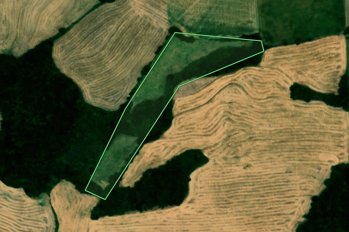 Imagem de satélite do imóvel rural em Alto Alegre (RS), com o contorno declarado no CAR desenhado por cima.