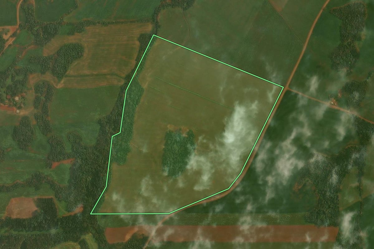 Imagem de satélite do imóvel rural em Alto Alegre (RS), com o contorno declarado no CAR desenhado por cima.