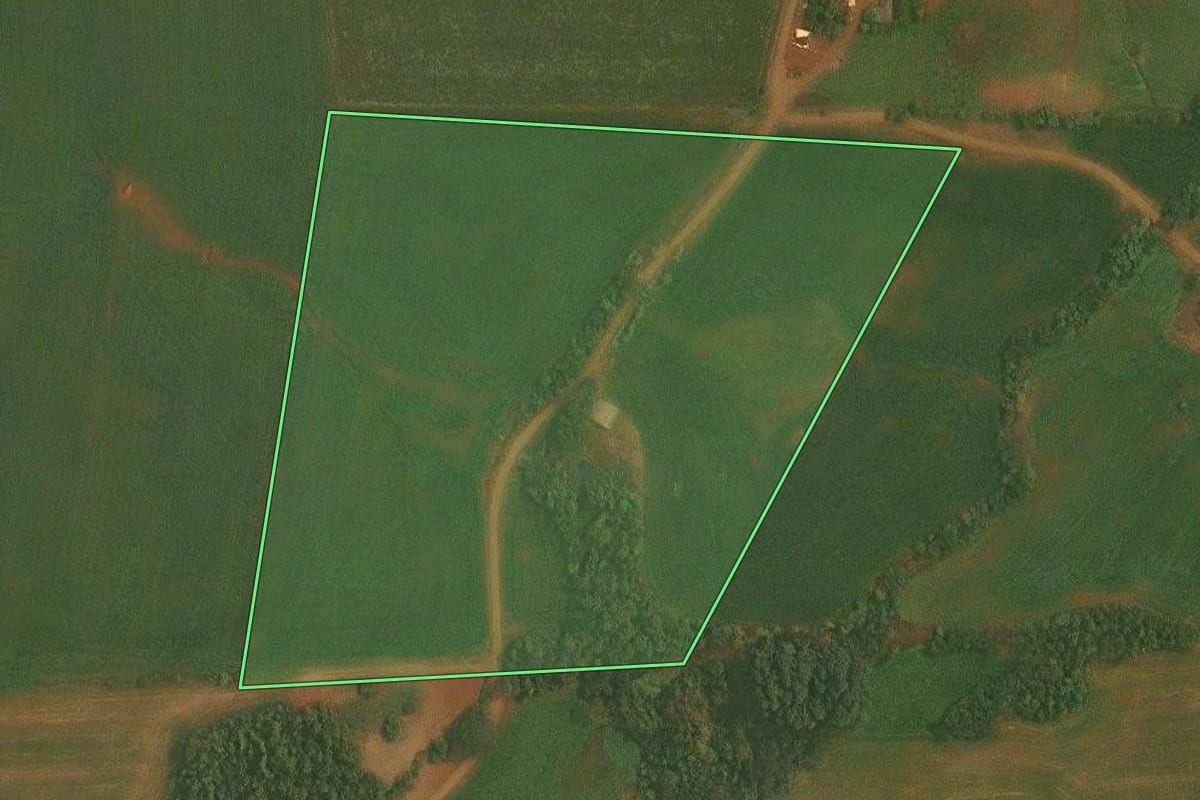Imagem de satélite do imóvel rural em Alto Alegre (RS), com o contorno declarado no CAR desenhado por cima.