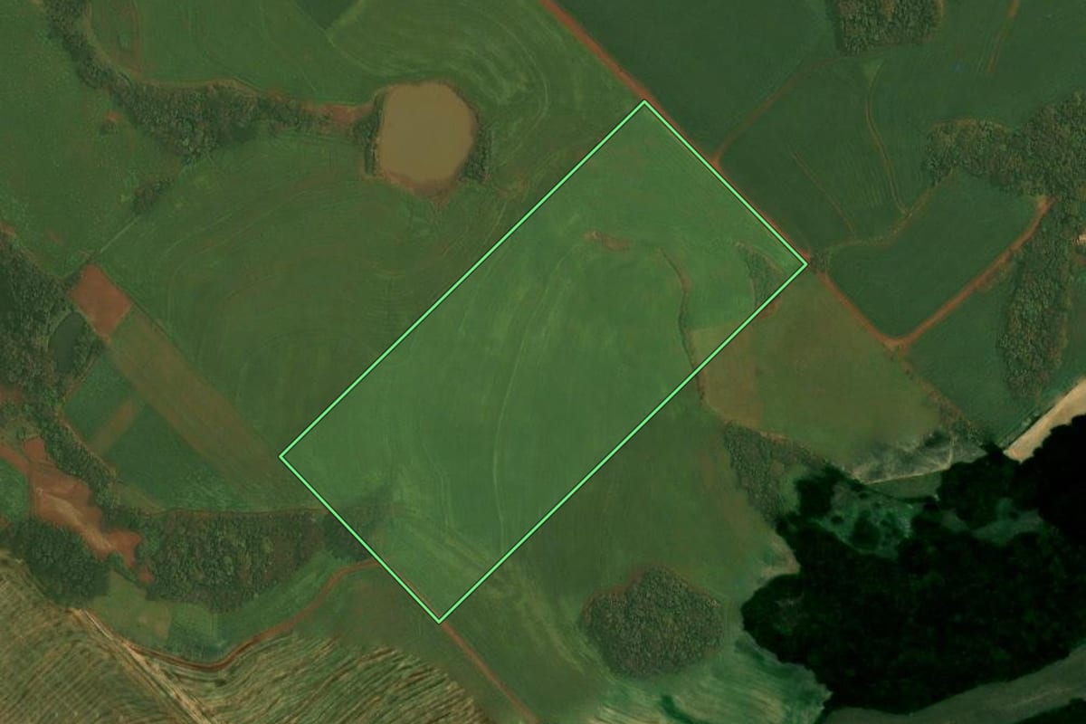 Imagem de satélite do imóvel rural em Alto Alegre (RS), com o contorno declarado no CAR desenhado por cima.