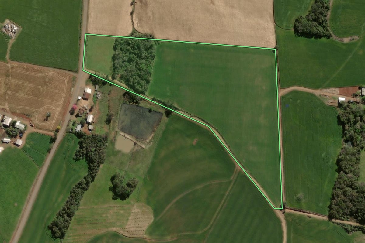 Imagem de satélite do imóvel rural em Alto Alegre (RS), com o contorno declarado no CAR desenhado por cima.