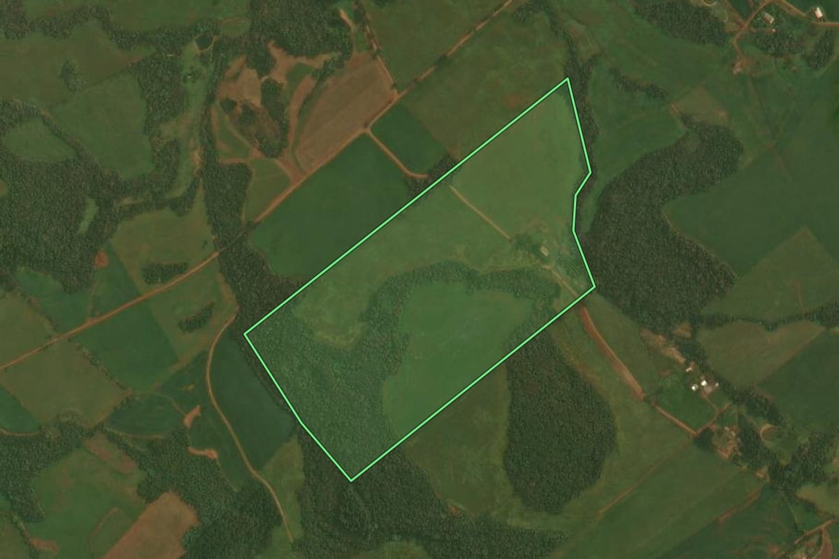 Imagem de satélite do imóvel rural em Alto Alegre (RS), com o contorno declarado no CAR desenhado por cima.