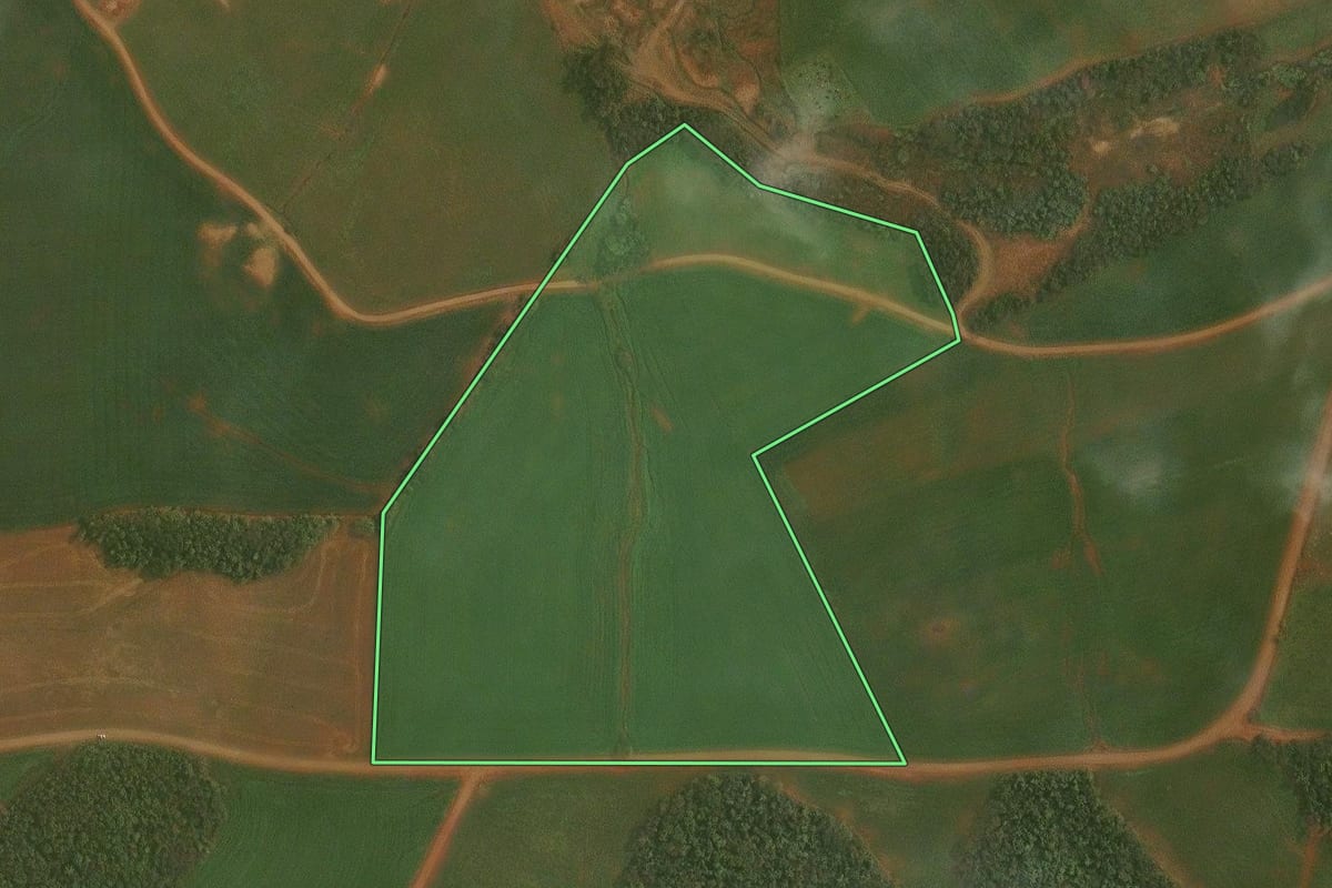 Imagem de satélite do imóvel rural em Alto Alegre (RS), com o contorno declarado no CAR desenhado por cima.