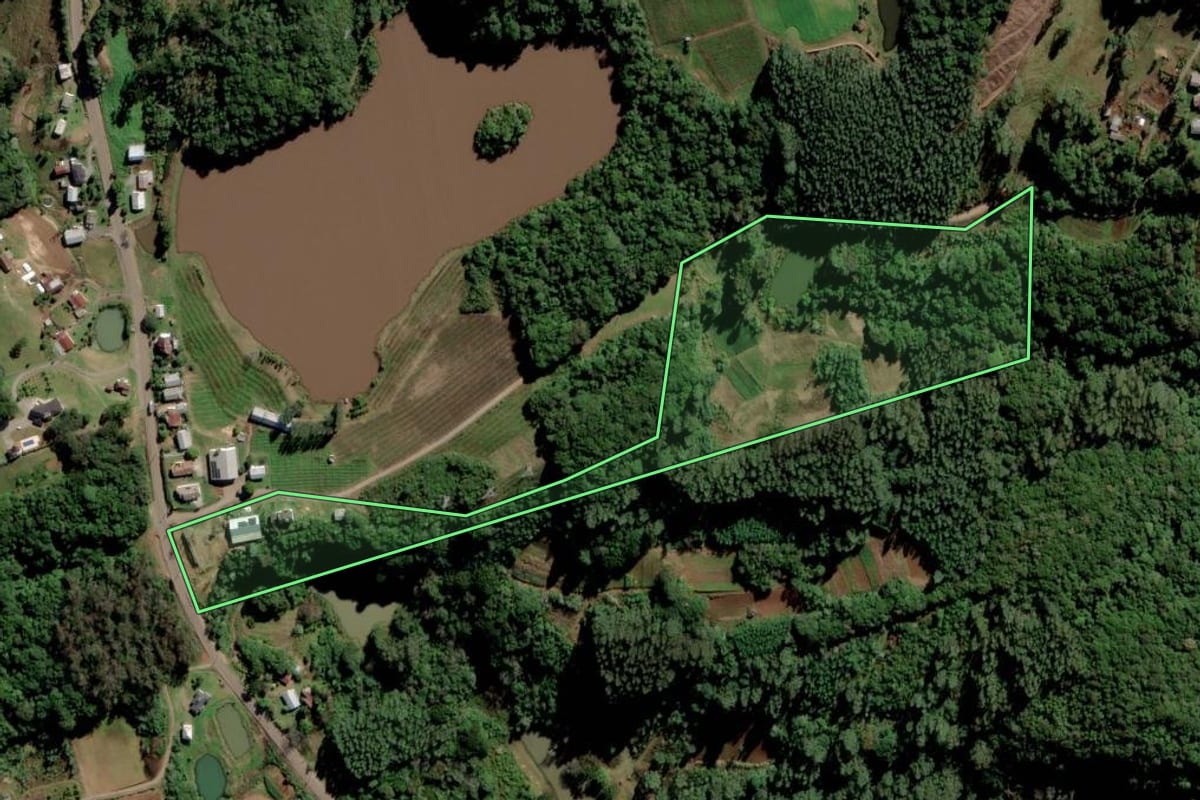 Imagem de satélite do imóvel rural em Alto Feliz (RS), com o contorno declarado no CAR desenhado por cima.