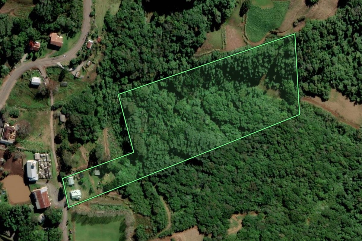 Imagem de satélite do imóvel rural em Alto Feliz (RS), com o contorno declarado no CAR desenhado por cima.