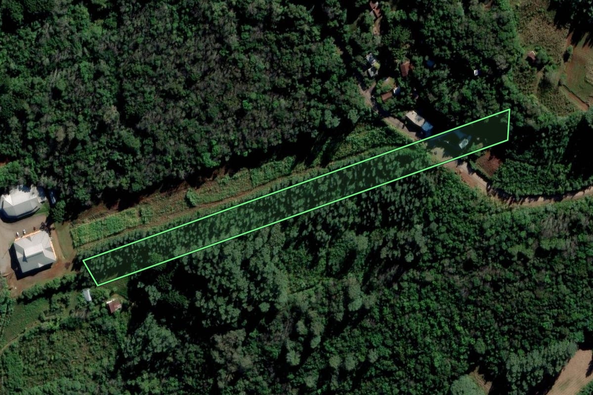 Imagem de satélite do imóvel rural em Alto Feliz (RS), com o contorno declarado no CAR desenhado por cima.