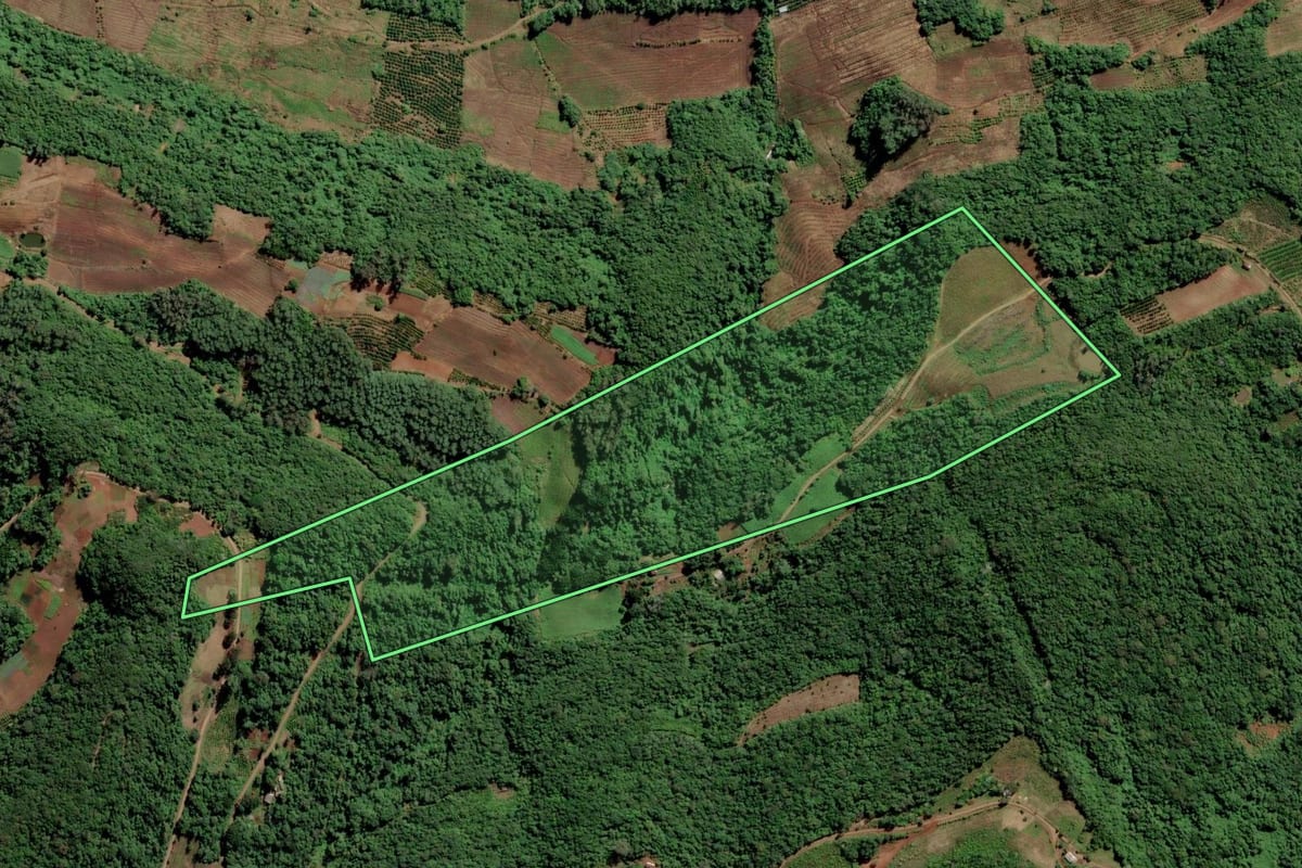 Imagem de satélite do imóvel rural em Alto Feliz (RS), com o contorno declarado no CAR desenhado por cima.