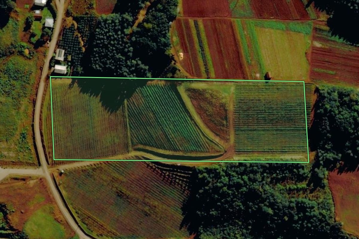 Imagem de satélite do imóvel rural em Alto Feliz (RS), com o contorno declarado no CAR desenhado por cima.