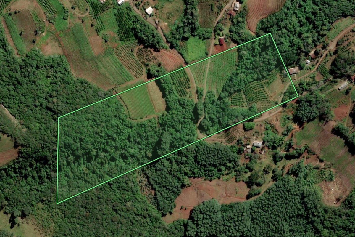 Imagem de satélite do imóvel rural em Alto Feliz (RS), com o contorno declarado no CAR desenhado por cima.