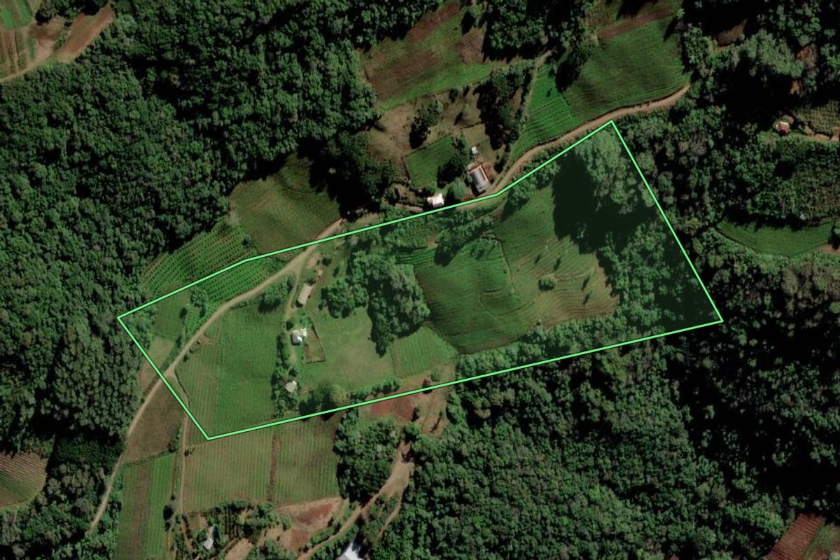 Imagem de satélite do imóvel rural em Alto Feliz (RS), com o contorno declarado no CAR desenhado por cima.