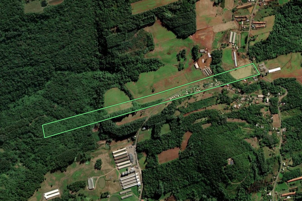 Imagem de satélite do imóvel rural em Alto Feliz (RS), com o contorno declarado no CAR desenhado por cima.