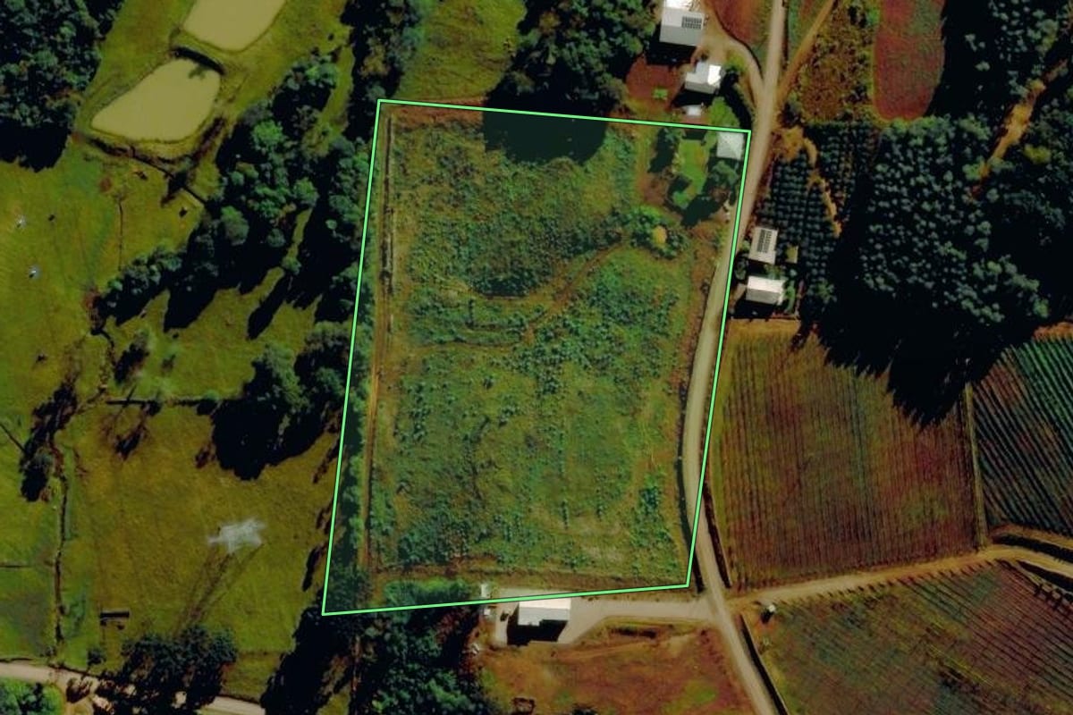 Imagem de satélite do imóvel rural em Alto Feliz (RS), com o contorno declarado no CAR desenhado por cima.