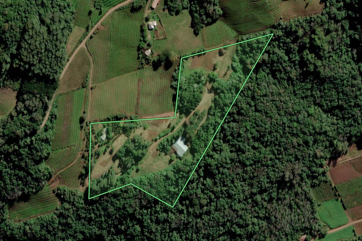 Imagem de satélite do imóvel rural em Alto Feliz (RS), com o contorno declarado no CAR desenhado por cima.