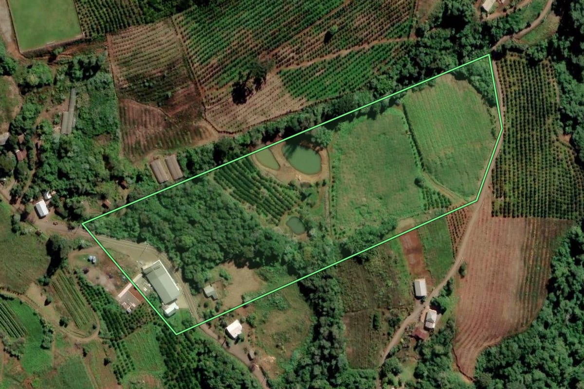 Imagem de satélite do imóvel rural em Alto Feliz (RS), com o contorno declarado no CAR desenhado por cima.