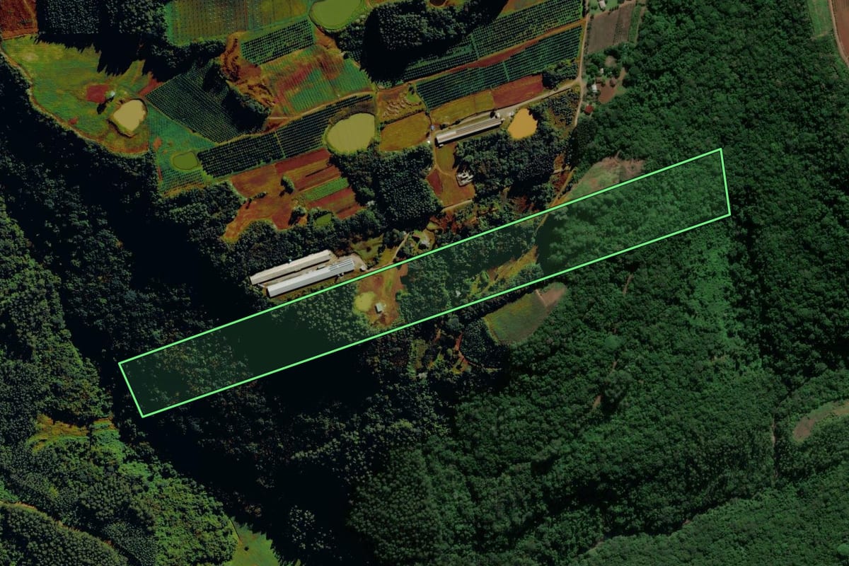 Imagem de satélite do imóvel rural em Alto Feliz (RS), com o contorno declarado no CAR desenhado por cima.