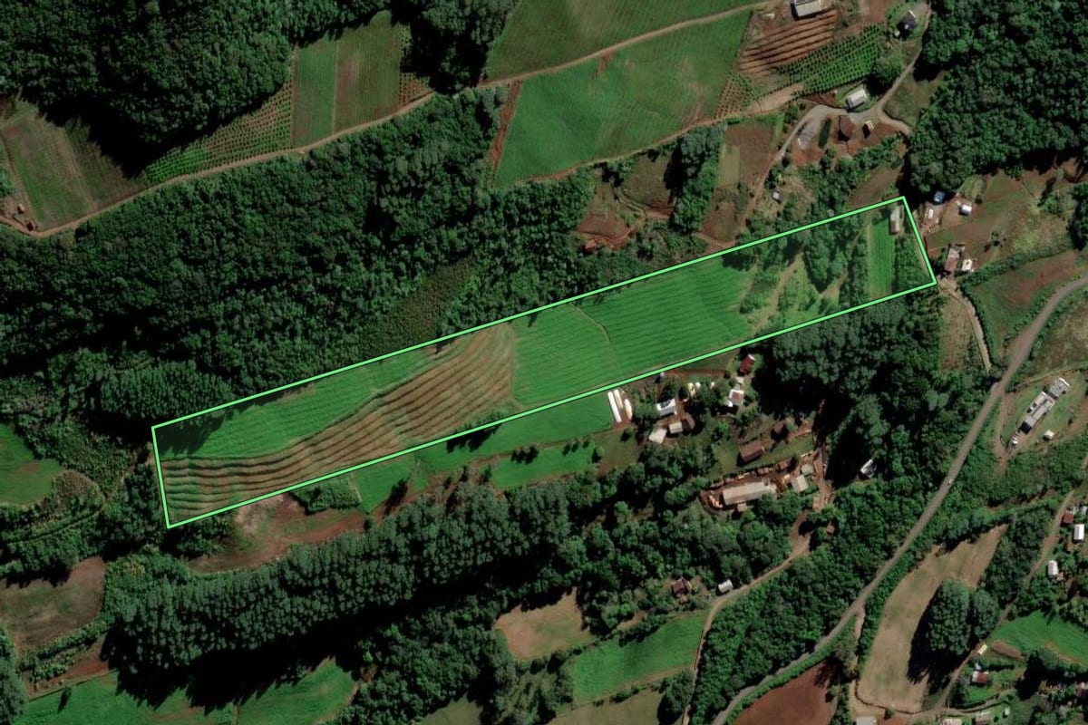 Imagem de satélite do imóvel rural em Alto Feliz (RS), com o contorno declarado no CAR desenhado por cima.
