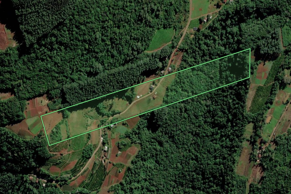Imagem de satélite do imóvel rural em Alto Feliz (RS), com o contorno declarado no CAR desenhado por cima.
