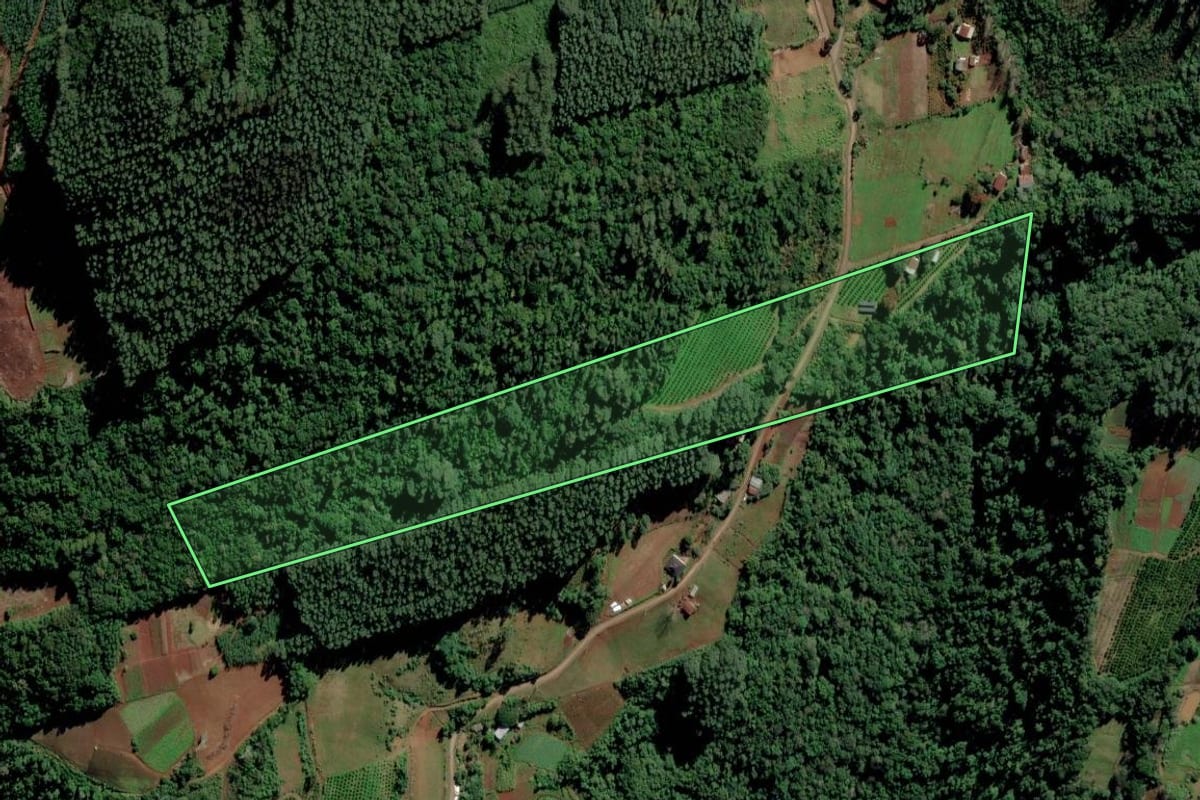 Imagem de satélite do imóvel rural em Alto Feliz (RS), com o contorno declarado no CAR desenhado por cima.