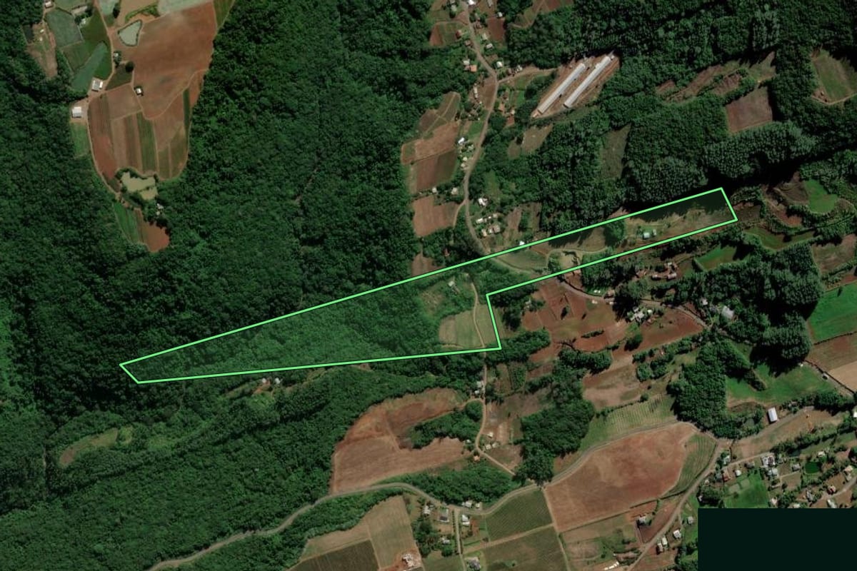 Imagem de satélite do imóvel rural em Alto Feliz (RS), com o contorno declarado no CAR desenhado por cima.