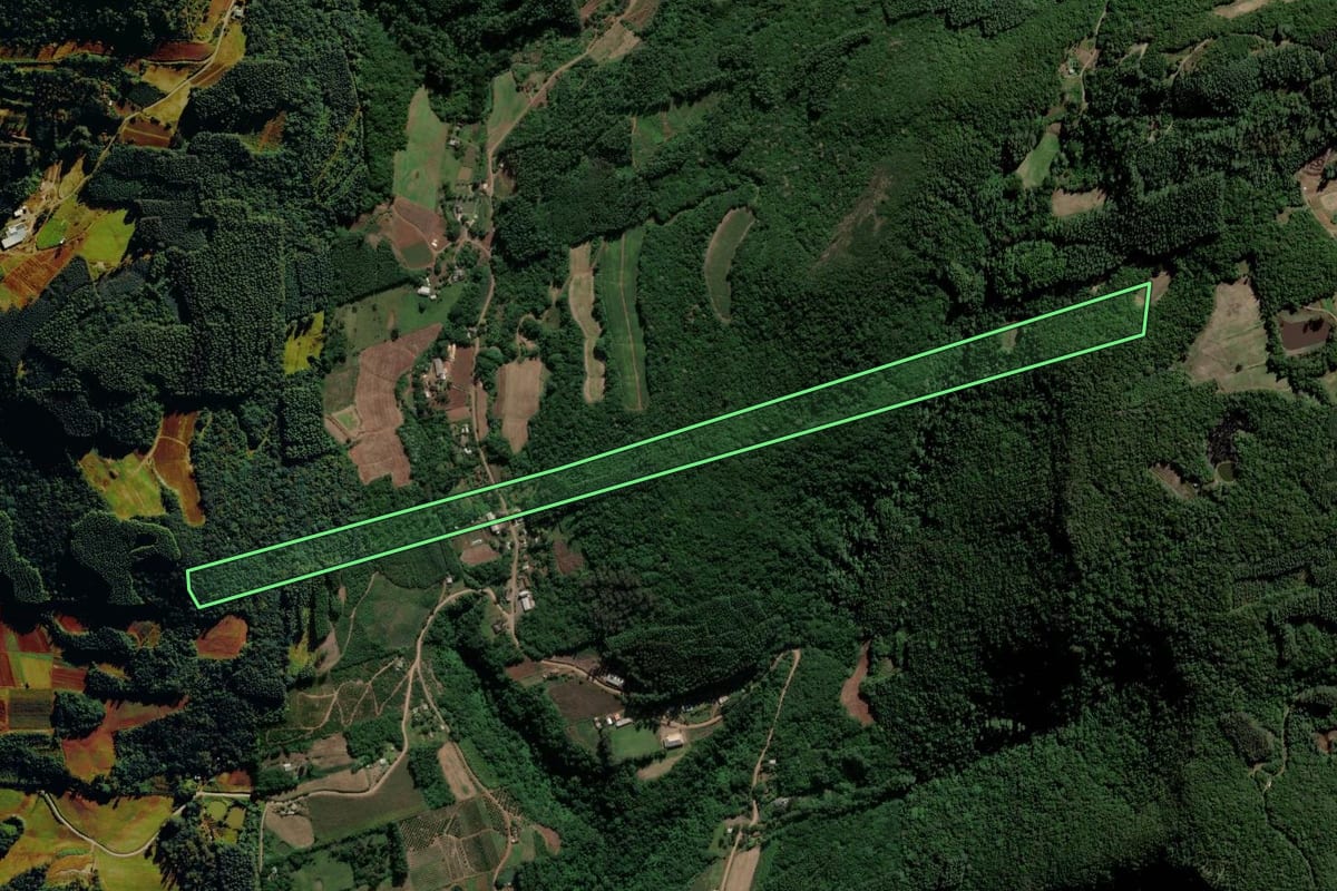 Imagem de satélite do imóvel rural em Alto Feliz (RS), com o contorno declarado no CAR desenhado por cima.