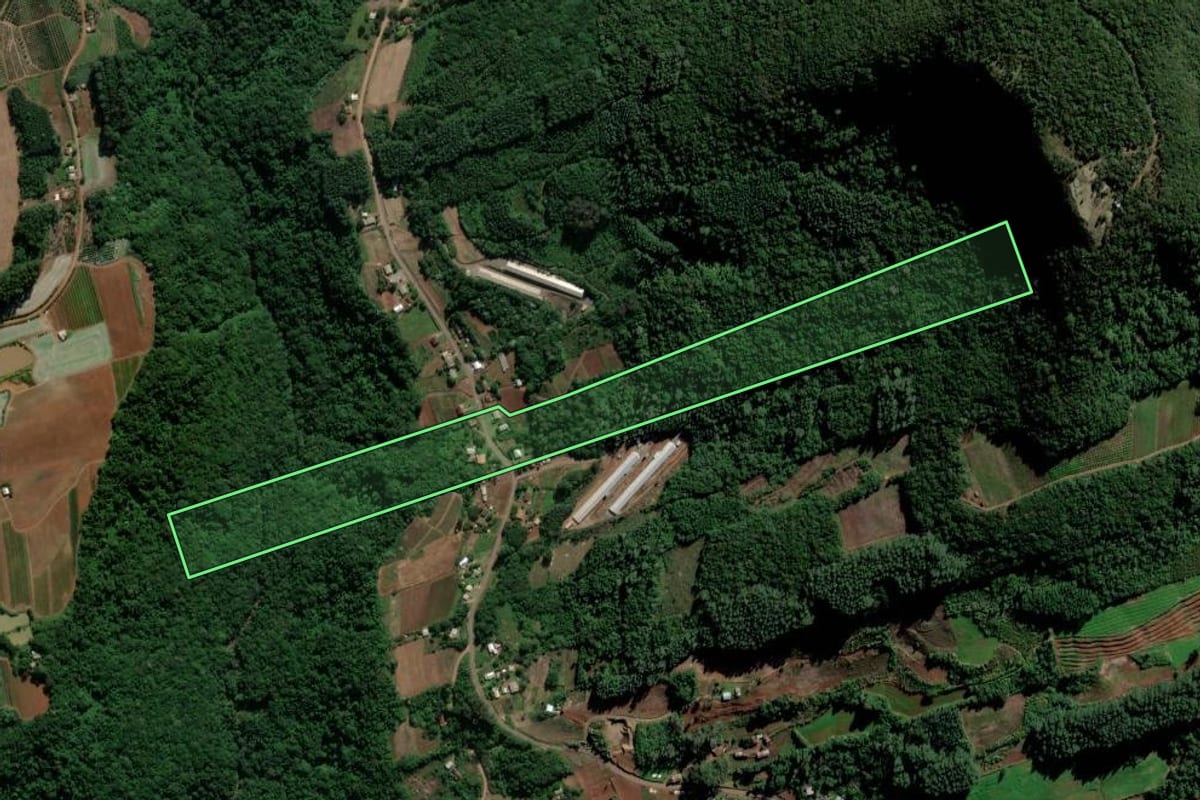 Imagem de satélite do imóvel rural em Alto Feliz (RS), com o contorno declarado no CAR desenhado por cima.