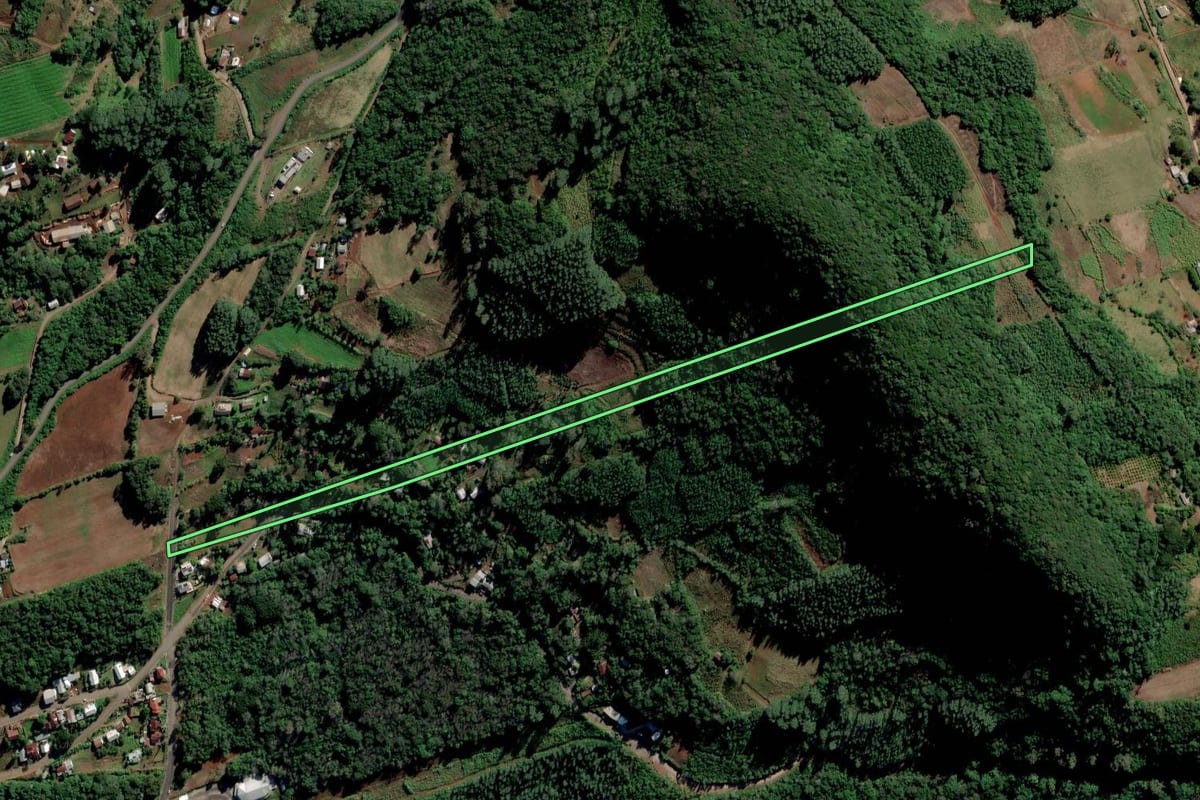 Imagem de satélite do imóvel rural em Alto Feliz (RS), com o contorno declarado no CAR desenhado por cima.