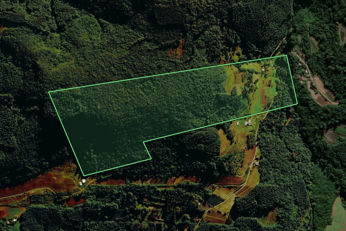 Imagem de satélite do imóvel rural em Alto Feliz (RS), com o contorno declarado no CAR desenhado por cima.