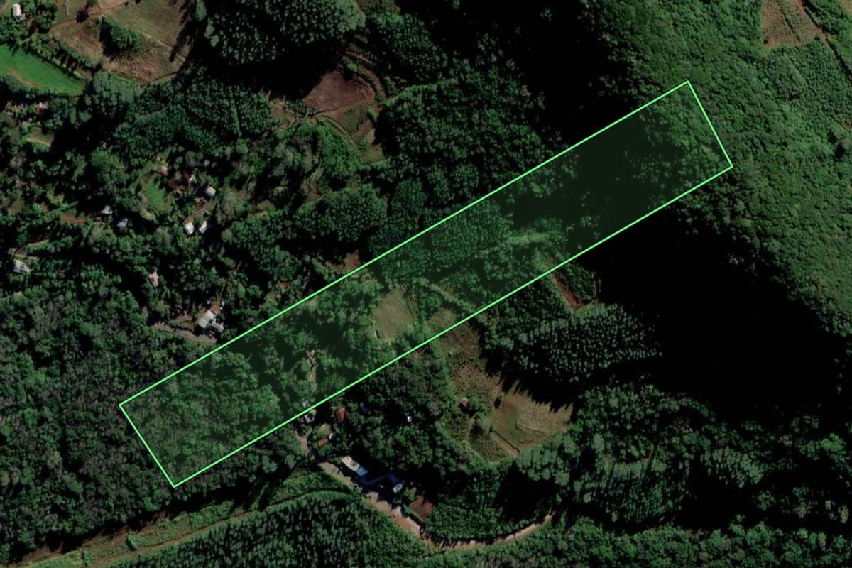 Imagem de satélite do imóvel rural em Alto Feliz (RS), com o contorno declarado no CAR desenhado por cima.