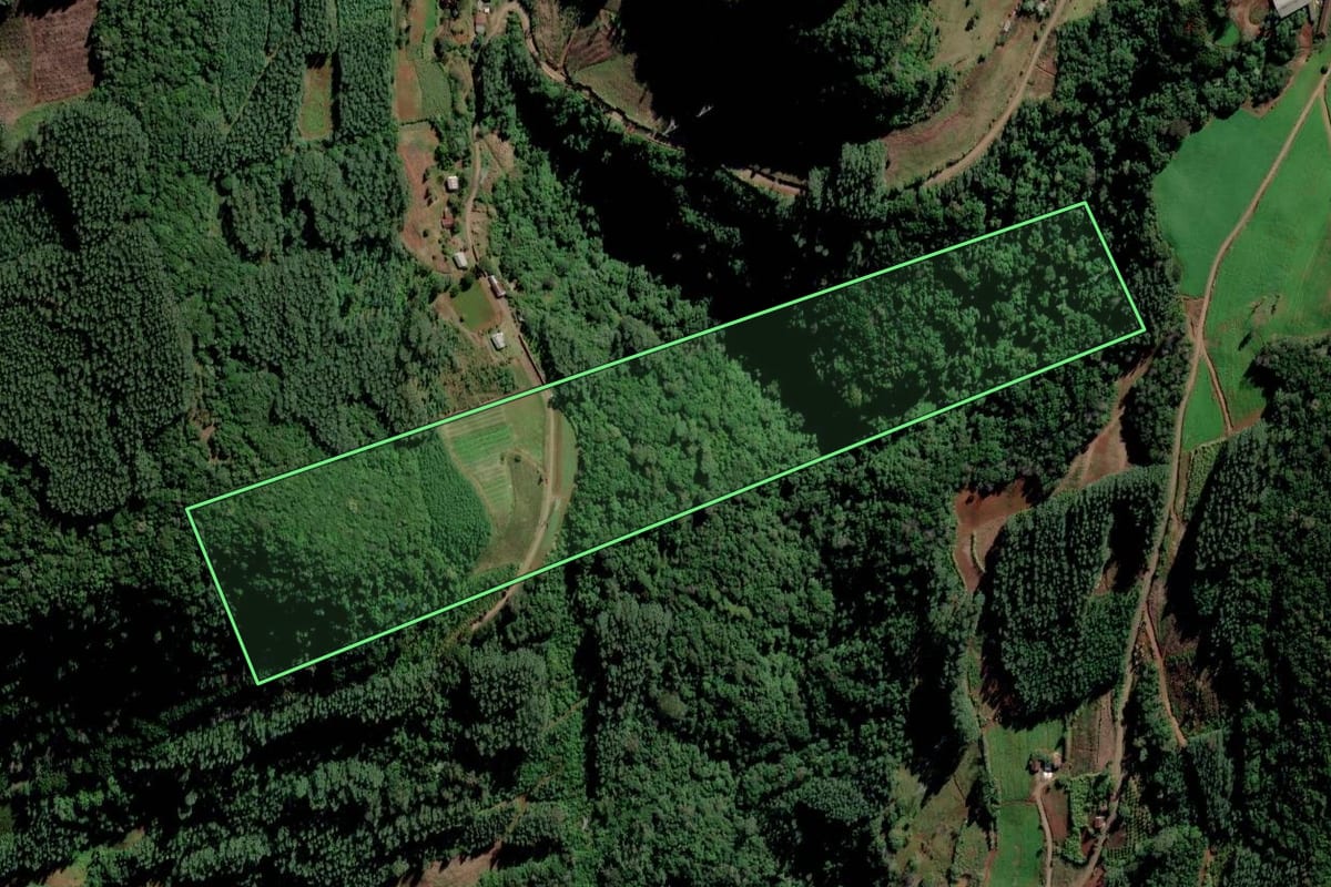 Imagem de satélite do imóvel rural em Alto Feliz (RS), com o contorno declarado no CAR desenhado por cima.