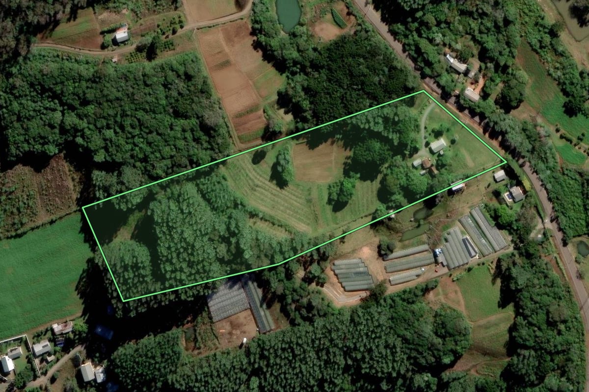 Imagem de satélite do imóvel rural em Alto Feliz (RS), com o contorno declarado no CAR desenhado por cima.