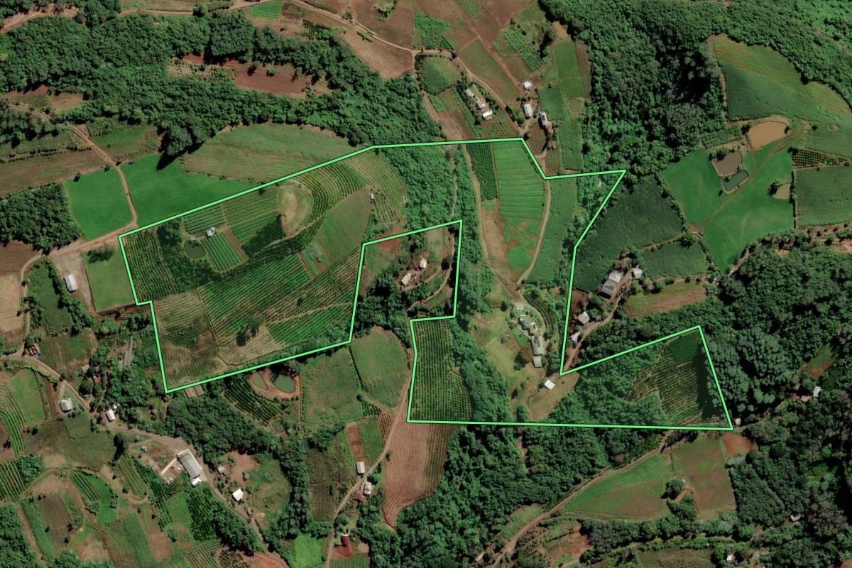 Imagem de satélite do imóvel rural em Alto Feliz (RS), com o contorno declarado no CAR desenhado por cima.