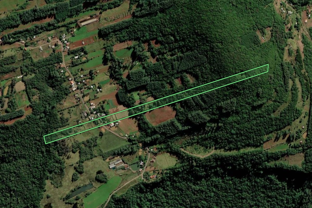 Imagem de satélite do imóvel rural em Alto Feliz (RS), com o contorno declarado no CAR desenhado por cima.