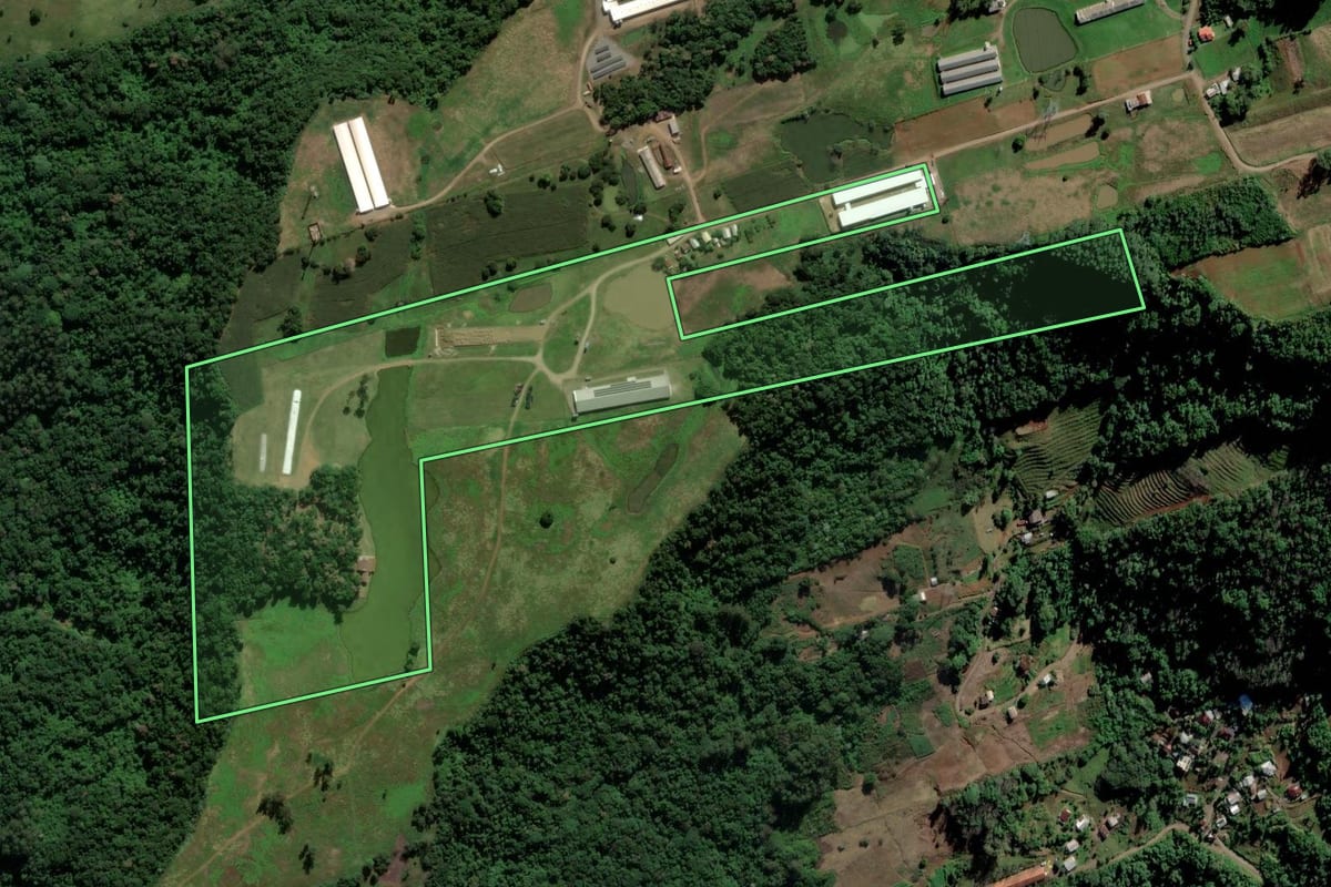 Imagem de satélite do imóvel rural em Alto Feliz (RS), com o contorno declarado no CAR desenhado por cima.
