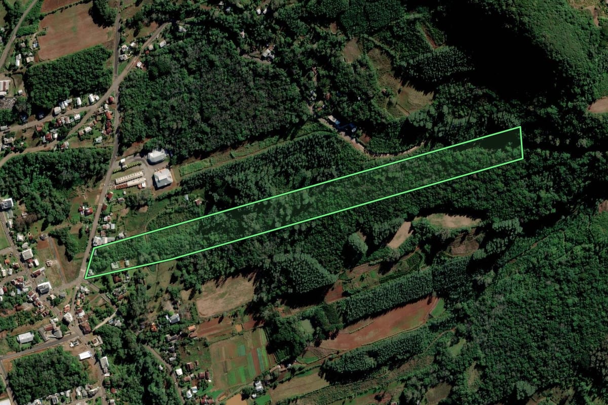 Imagem de satélite do imóvel rural em Alto Feliz (RS), com o contorno declarado no CAR desenhado por cima.