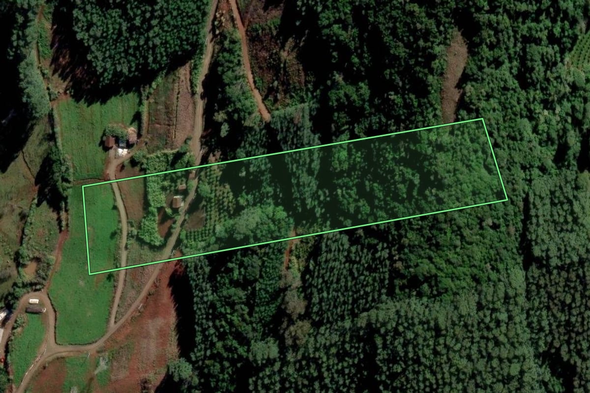 Imagem de satélite do imóvel rural em Alto Feliz (RS), com o contorno declarado no CAR desenhado por cima.