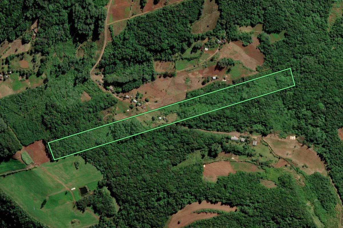 Imagem de satélite do imóvel rural em Alto Feliz (RS), com o contorno declarado no CAR desenhado por cima.