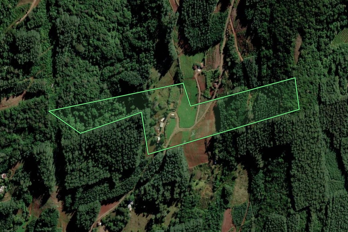 Imagem de satélite do imóvel rural em Alto Feliz (RS), com o contorno declarado no CAR desenhado por cima.