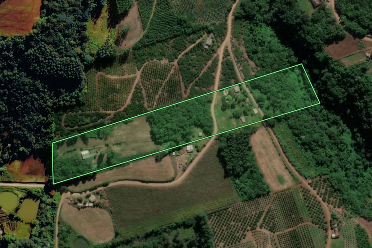 Imagem de satélite do imóvel rural em Alto Feliz (RS), com o contorno declarado no CAR desenhado por cima.